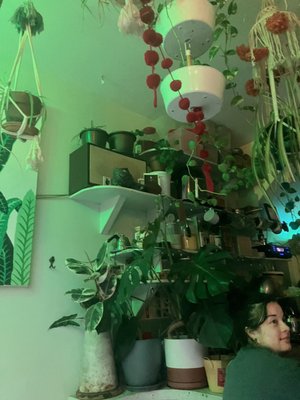 Shaka Shaka Tiki by null