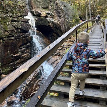 The Flume Gorge - Parks Near Me - Lincoln, New Hampshire The Flume Gorge - Parks Near Me - Lincoln, New Hampshire