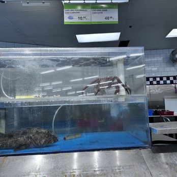 T&T Supermarket - live king crab - International Grocery Near Me - Vancouver, British Columbia