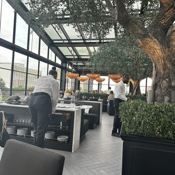 RH Rooftop Restaurant at RH Oak Brook - Inside - Breakfast & Brunch Near Me - Oak Brook, Illinois RH Rooftop Restaurant at RH Oak Brook - Inside - Breakfast & Brunch Near Me - Oak Brook, Illinois