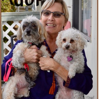 Animal Rescue Volunteers - Animal Shelters Near Me - Simi Valley, California Animal Rescue Volunteers - Animal Shelters Near Me - Simi Valley, California
