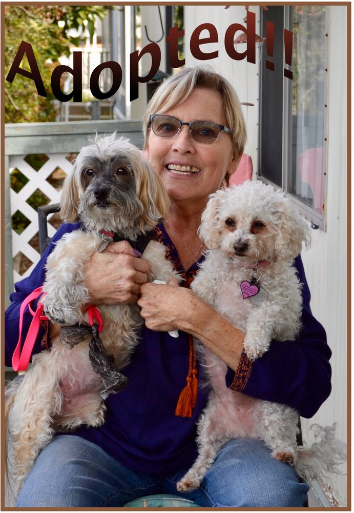ANIMAL RESCUE VOLUNTEERS 31 Photos & 22 Reviews 1464 Madera Rd, Simi Valley, California