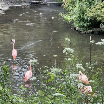 Lincoln Park Zoo - Zoos Near Me - Chicago, Illinois