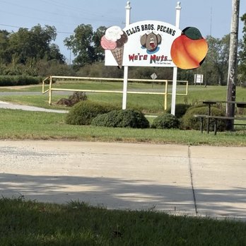 We're Nuts - Sign by the road - Farmers Market Near Me - Vienna, Georgia We're Nuts - Sign by the road - Farmers Market Near Me - Vienna, Georgia