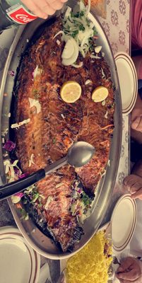 Al Masgoof Grill 41 Photos 51 Reviews Middle Eastern 4197 E 14 Mile Rd Sterling Heights Mi United States Restaurant Reviews Phone Number