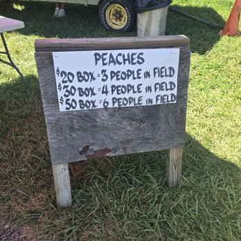 Larriland Farm - Fruits & Veggies Near Me - Woodbine, Maryland Larriland Farm - Fruits & Veggies Near Me - Woodbine, Maryland