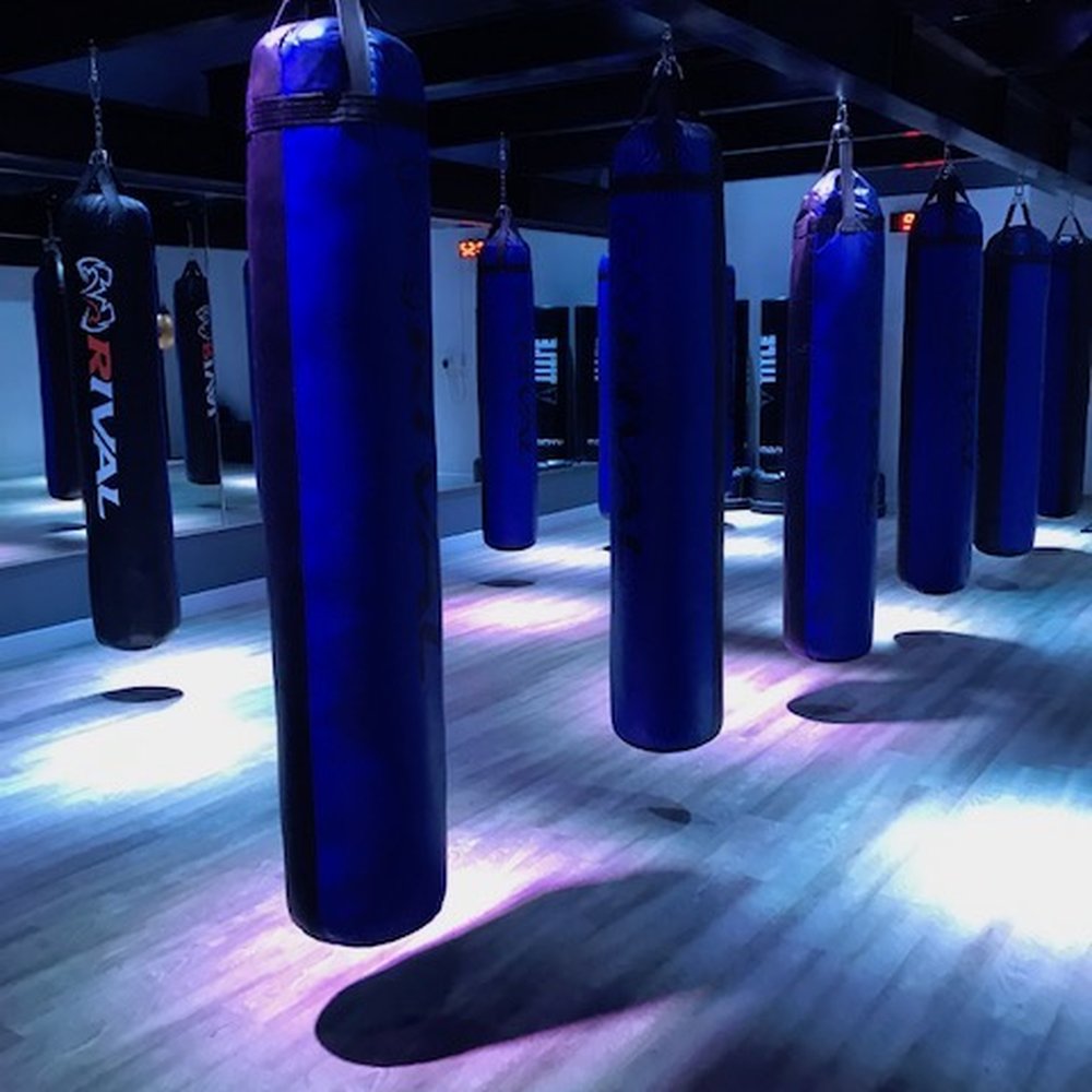 GOLO Boxing: Gloves On, Lights Out - Boxing Near Me - Solana Beach, California GOLO Boxing: Gloves On, Lights Out - Boxing Near Me - Solana Beach, California