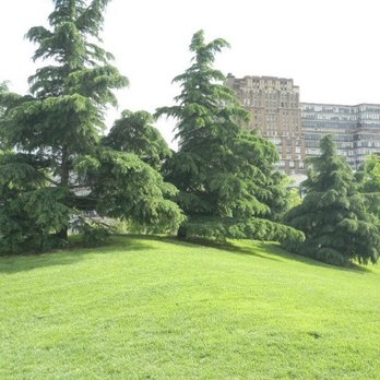 The Esplanade - Beautiful trees and grass. Posted with review 09/19/22 - Parks Near Me - New York, New York