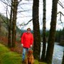 Photo of Mansfield Tree Service