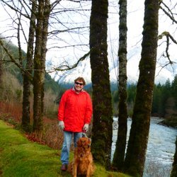 Mansfield Tree Service