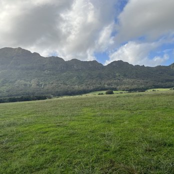 Kipu Ranch Adventures - Tours Near Me - Lihue, Hawaii Kipu Ranch Adventures - Tours Near Me - Lihue, Hawaii