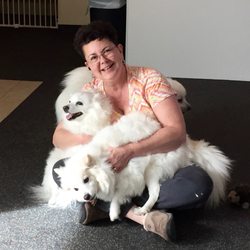 Little Dogs Colorado Giftly Beautiful Gift Card Alternative