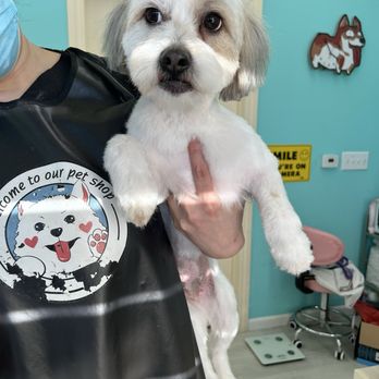 Ipet Grooming & Boarding - Bathed and groomed - Pet Groomers Near Me - Dublin, California