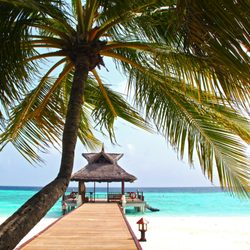 Finer Things Travel