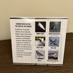 Marina del Rey Wetland Park - What birds are at the neighboring Wetlands