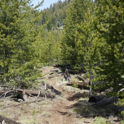 Eagle Cap Wilderness - Big Sheep Creek trail