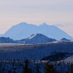 Denali Shuttle - Snow covered fields and mountain peaks.