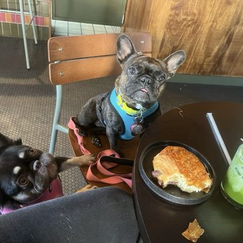 Silver Lake United - turf burn matcha & pain au chocolat - Breakfast & Brunch Near Me - Los Angeles, California