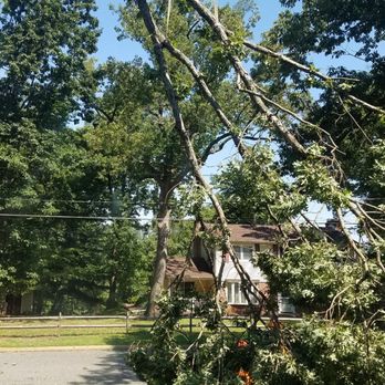 Meinhart's Tree Service - They removed the tree with care. - Tree Services Near Me - Sewell, New Jersey Meinhart's Tree Service - They removed the tree with care. - Tree Services Near Me - Sewell, New Jersey