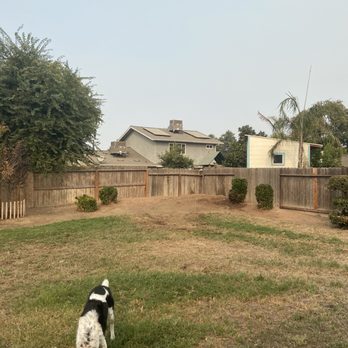 Travis Tree Service - Tree Services Near Me - Fresno, California Travis Tree Service - Tree Services Near Me - Fresno, California
