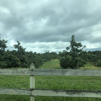 Richters Orchard - Fruits & Veggies Near Me - Northport, New York Richters Orchard - Fruits & Veggies Near Me - Northport, New York