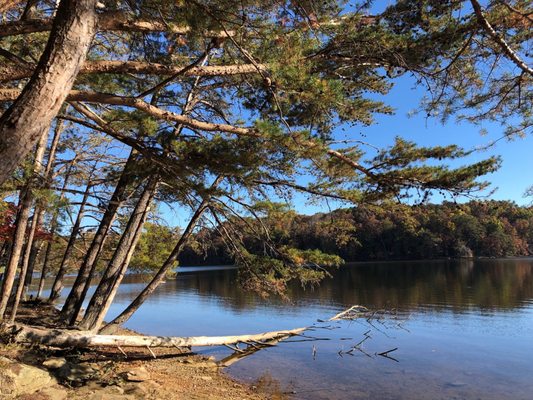 Fall Creek Falls by null