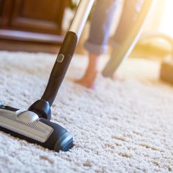 Universal Cleaning Carpet and Floor Care