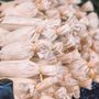 Photo of Chepo's Tamales