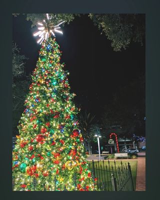 Market Square Park by null