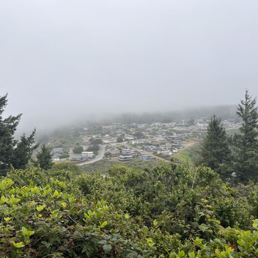 Trinidad Head Beach - town of Trinidad; view from trail - Hiking Near Me - Trinidad, California Trinidad Head Beach - town of Trinidad; view from trail - Hiking Near Me - Trinidad, California