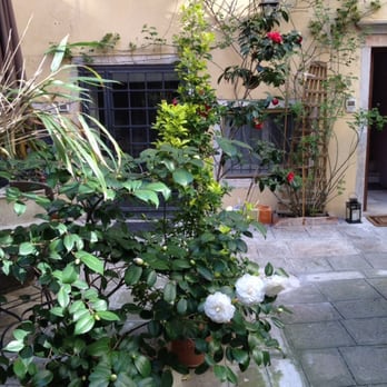 Corte 1321 - Camillia's in courtyard - Bed & Breakfast Near Me - Venezia, 34
