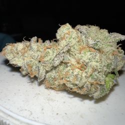 Super Roots Hydroponics - Gelato MMJ