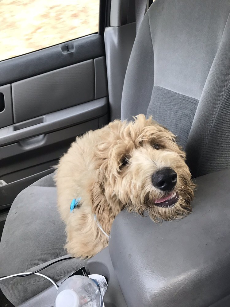 SILVERDALE DOG PARK 28 Photos & 20 Reviews 11601 Silverdale Way NW