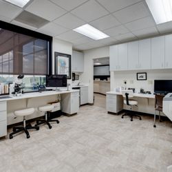 Swann Dermatology Partners