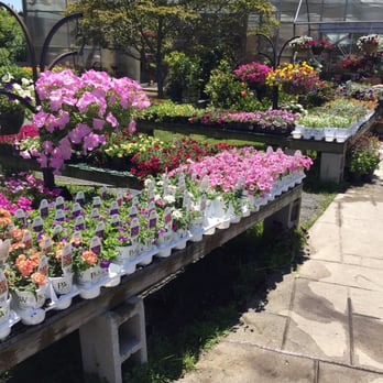 Moore Blooms - Nurseries & Gardening Near Me - Middletown, Rhode Island