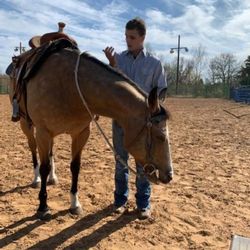 Spur S Helpers with Hooves