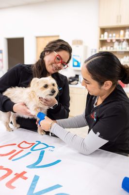 UrgentVet - Crestview