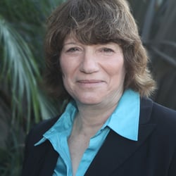 Lesley A Sive Attorney at Law