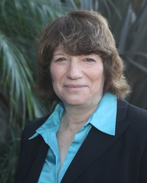 Lesley A Sive Attorney at Law - property tax consultant in Los Angeles, CA