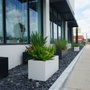 Landscape Improvements