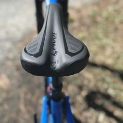 Beavers Sport Shop - Pivot Switchblade Race XT