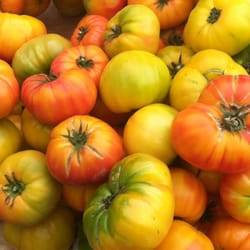 East End Capitol Park Farmers' Market