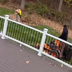 Born's Landscape & Lawn Care - Grass cutting last day of the season. Waiting on the leaf  blowing