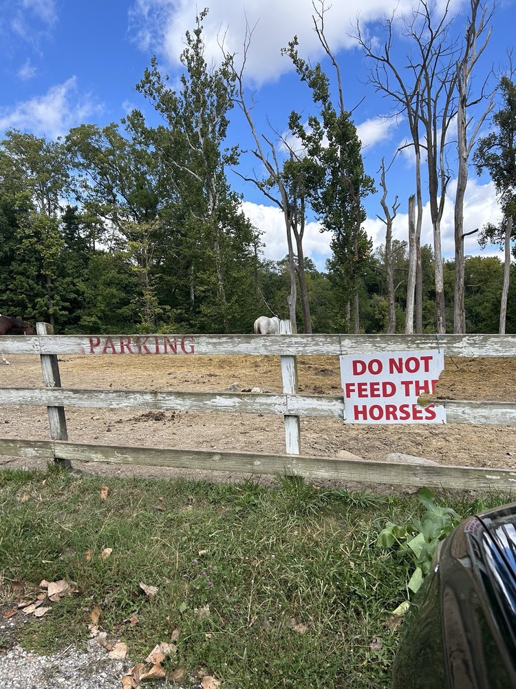 Natural Valley Ranch - equestrian in Brownsburg, IN