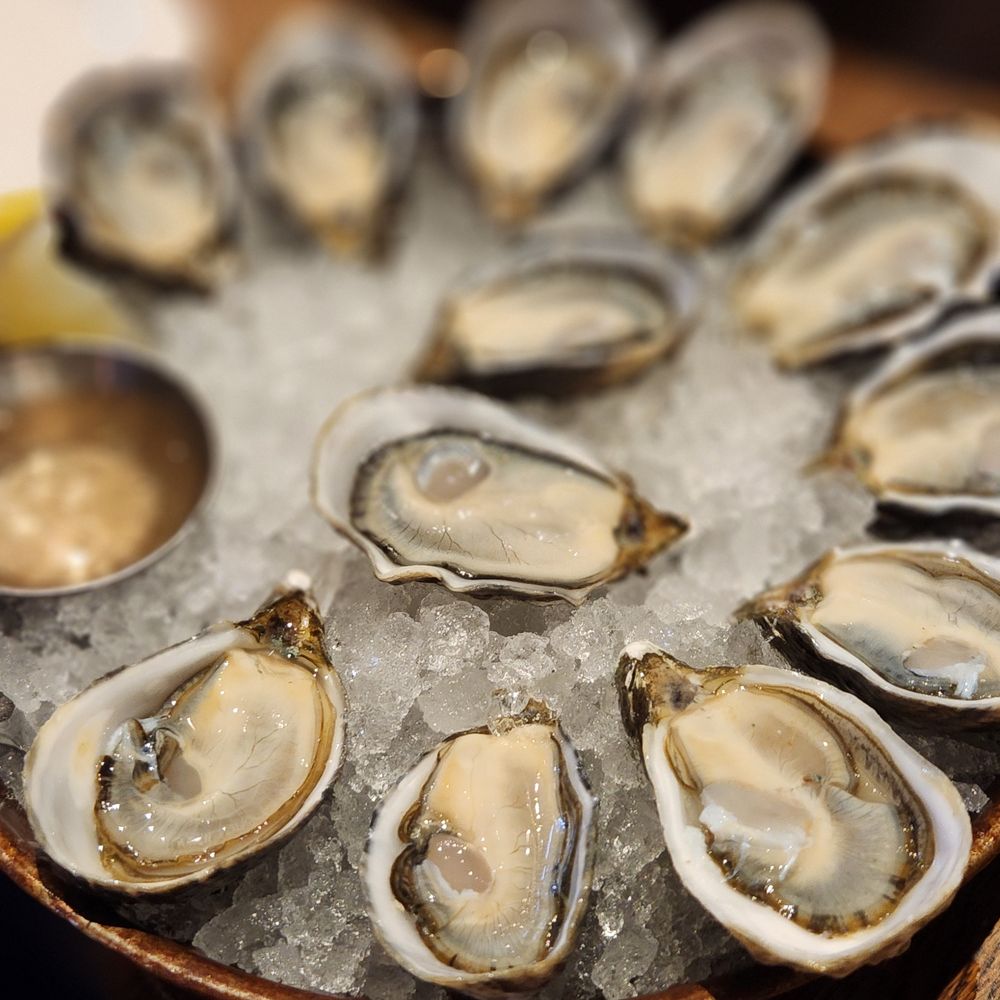 Taylor Shellfish Oyster Bar - oysters - Seafood Near Me - Seattle, Washington Taylor Shellfish Oyster Bar - oysters - Seafood Near Me - Seattle, Washington