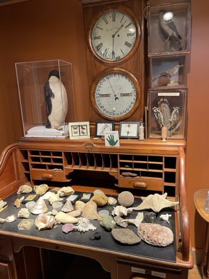 EcoTarium by null