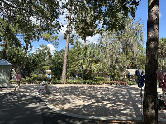 Tallahassee Nurseries by null