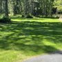 Photo of Northern Lawn Service