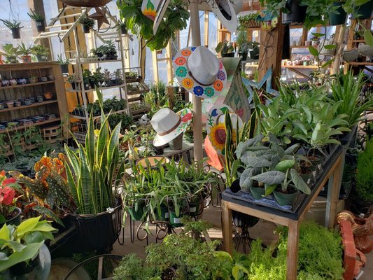 Green's Produce and Plants by null