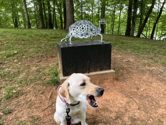 Pitbull And Horse At Cane Creek Park CANE CREEK PARK - Updated October 2024 - 45 E Broad St, Cookeville